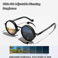 AliExpress Julyrays Cycling Polarized ND9 Adjustable Dimming Sun Glasses Female Male Round Frame Sunglasses Retro Punk Men Fishing Eyewear Outdoor