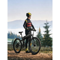 AliExpress SAMEBIKE LO26-II Mountain Electric Bike,Folding Electric Bicycle with 48V14AH Removable Battery, 26