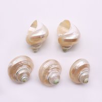 Sparkling White Turbine Shell Pendant Natural Mother of Pearl Hermit Crab Beach Necklace Pendant Accessory Decoration Party Gift