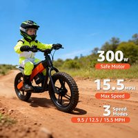 16 Inch Electric Balance Bike With Removable Battery Kids Off-Road Dirt Motorbike Mini E-Bike For Children Training