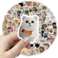 103 Pcs Cute Cat Stickers - Adorable Decor for Journals, Phone Cases, Water Bottles & DIY Crafts RecordingYourLife Store
