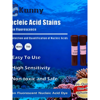 Green Fluorescent Nucleic Acid Dye for DNA and RNA Staining in Molecular Biology Applications Original Product