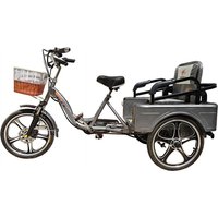 AliExpress NONE Long Range Electric Tricycle For Woman With Passengers Cargo 3 Wheel Adult Electric Bike 2 Person 350W Hide Battery Removable