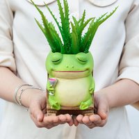 Cute Frog Rocking Chair Resin Succulent Planter Pot Creative Cartoon Frog Flower Pot Home Garden Decor