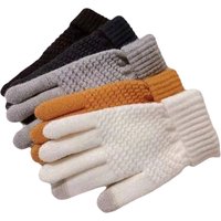 AliExpress WRELS Cycling Touch Screen Gloves Female Winter Cute Student Cycling Warm And Cold Korean Version Thick Winter Cotton Gloves