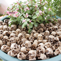 M-20pcs Mini Skulls Halloween Garden Decoration Bonsai Courtyard Ornament Small Skeleton Head Flowerpot Decor Realistic Crafts