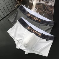 Men's boxers & briefs U raised pouch Sports boxer man pack Breathable sexy panties Sweat woker onlyfans underwear man GTOPX MAN