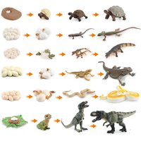 AliExpress ONLYFIGURES Simulation Dinosaur Lizard Turtle Snake Crocodile Growth Life Cycle Model Action Reptile Animal Figures Education Miniature Toy