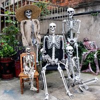 Skull props, mummy skeletons, halloween decorations, haunted house ornaments, simulated plastic secret room horror scene arrange