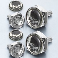 1 Set License Plate Mounting Kit Aluminum Alloy Car License Plate Fasteners Skull Head Anti-Theft Seal Fixed Seal Screw Frame