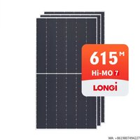 Longi Hi Mo7 LR7 72HGD Double Glass Photovoltaic Solar Panel 615w Longi N-Type Solar Panel 620w Solar Panel