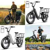 20 Inch Tire Rack for Carrying Goods & Passengers, Powerful Motor, Long Range Long Tail Electric Bike with Cargo