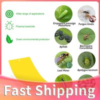 Sticky Traps 20 Pieces Fly Paper Stickers for Indoor House Plant Gnat Control Flying Plant Insect Gardening Tools