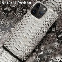 Genuine Leather Python Phone Case For iPhone 17 16 15 13 14 Pro Max Air 17Pro 16Pro 15Pro 12 11 Promax Luxury Back Cover Shell