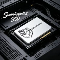 SomnAmbulist 2.5" SATA3 SSD, 120G/128G/240G/256G/480G/512G Multi-Capacity Solid State Drive, Hot Sale for Cross-border Market