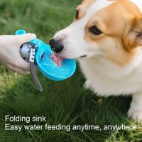 Portable Dog Water Bottle for Small Dogs Stainless Steel Body Silicone Bowl for Walking Hiking Travels with Clip and Lanyard