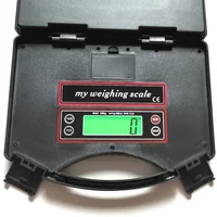 25kg/1g Portable Electronic Scale for Express Shipping Packages, Weighing in g/oz/lb/ml for Food & Luggage