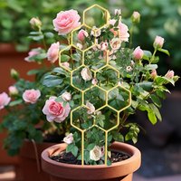 Climbing Plant Trellis Plant Support Garden Stake Stand Climbing Rack Flower Trellis Frame Universal Stand Holder Garden Decor