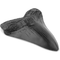 Marine Bology Teaching Props Best Gifts Easy Clean Resin Shark 5inch Shark Teeth Model Teeth Home Decoration Shark Tooth Replica