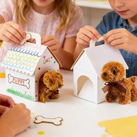 12 Pieces DIY Foldable Paper Foldable Adopt a Pet Box for Cake Treat Toys Crafts Holiday Birthday Wedding Cardboard Boxes