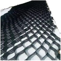 Professional High Quality Heavy Driveway Gravel Grid Geocell Factory Price Use for River,Road Projects