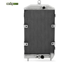 BIKINGBOY Motorkühlerkühlung für Kawasaki Vulcan VN 1600 Classic Nomad VN1600 Mean Streak 03 04 05 06 07 08 Wasserkühler