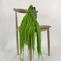 4pcs Green Dried Amaranthus Hanging Flowers Light Green Real Amaranthus Preserved Dried Flowers for Wedding Greenery Home Decor