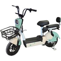 PAIGE 1500W High Power Electric Bike, Off-Road Dirt Frame City E-Bike for Adults