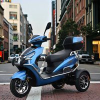 High Quality 1000W Electric Tricycle Inexpensive Electric Motorcycle with Lead-Acid Battery Power Supply