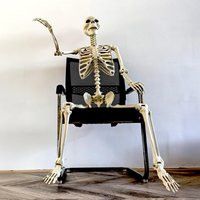 Halloween Outdoor Skeletons Realistic Full-Body Skeleton for Outside Spooky Photo Props Garden Decor Decorative Party Supplies