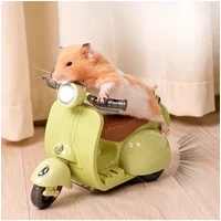 AliExpress NONE Pet Toys Mini Motorcycle Electric Bike Toy Kitten Hamster Stunt Rotation Labubu Accessories Scooter Motorcycle with Lights Music