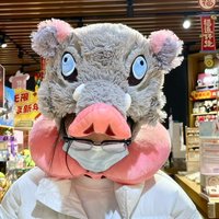 New Cosplay Prop Lifelike Wild Boar Head Plush Hat Cute Hashibira Inosuke Warm Headgear Stuffed Anime Plushies Xmas Gift