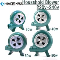 220V~240V household blower Iron Barbecue blower Small centrifugal blower 30W 40W 60W 80W EU US Plug adapter Green for barbecue