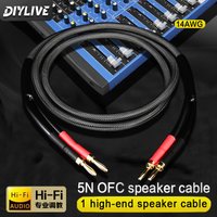 DIYLIVE 5N High-Purity Copper Audiophic-Grade HIFI Speaker Cable for Surround Power Amplifier And Computer Audio System