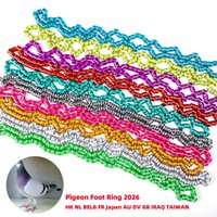 2026 Country Name Pigeon Foot Rings Inner Diameter 8mm Aluminium Parrot Quail Bird Training Identification Leg Rings Random Numb