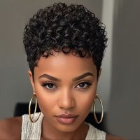 African Wigs Women's Short Curly Hairpieces Black Short Curly Synthetic Wig Rose Net High Temperature Fiber Wig