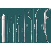 Stainless Steel Toothpick Set Portable Toothpick Floss Tartar Removal Tool Reusable Teeth Cleaning Kit for Oral Cleaning