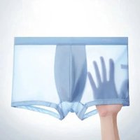 4Pcs Ice Silk Men Boxer Shorts Breathable Mesh Underwear Cooling U Convex Sexy Thin Panties High Elastic Waist Summer Underpants