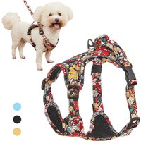 Fashion Printed Puppy Dog Harness and Leash Set Reflective Breathable Pet Outdoor Walking Supplies for Small Medium Dogs