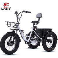 750w Removable Battery Electric Bike 3 Wheel Comfortable Seat Folding Tricycle Cargo Bike