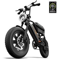 AliExpress 250W Adult E-Bike Electric Bicycle with 48V 13Ah Battery URLIFE T16 16 Inch Tire for City Commuting Sports & Entertainment Cycling