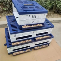 Cage de transport pliable en plastique Qihang pour l'entraînement des pigeons, avec boîte à nourriture et à eau amovible, panier de libération anti-âge pour pigeons