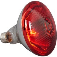 250w Infrared Heat Lamp Waterproof Anti-Explosion Thickened Light Bulbs For Piglet Chicken Duck Birds