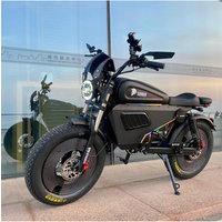 AliExpress NONE US Warehouse Electric Bike Removable Large Capacity Lithium Battery 3000W 60V 45AH Fat Tire Mountain Snow E-Bike