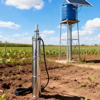 48V 1 HP Max Head 140M Solar DC Brushless Submersible Screw Pump for Ranch Stainless Solar Deep Well Pump built-in Controller