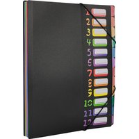 12 Pocket Expanding Project Sorter Heavy Duty Monthly Plastic Expandable Folder Organizer, A4 Letter Size, Multicolor