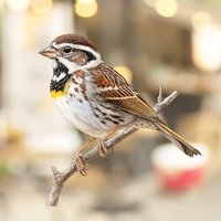 1PC White-throated Sparrow Bird Window Sticker Self-adhesive Wall Vinyl Decals for DIY Living Room Bedroom Garden Holiday Decor