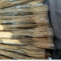 50pcs Artificial Flower Natural Dried Wheat Stalks DIY Craft Elegance Dry Wheat Spikes Rustic Dried Flowers Christmas Decoration