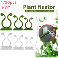 1/30/50Pcs For Garden Accsesories Plant Garden Pots & Planters Climbing Wall Outdoor Decors Lamp Support for Plants Clip Vine