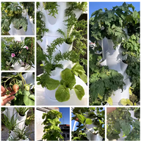Balcony Vertical Tower Planters Soilless Culture Vegetable Grow Pot Kit Hydroponic Growing System Garden Garden Indoor
